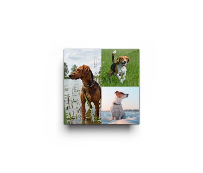 15 x 15cm 3 picture collage